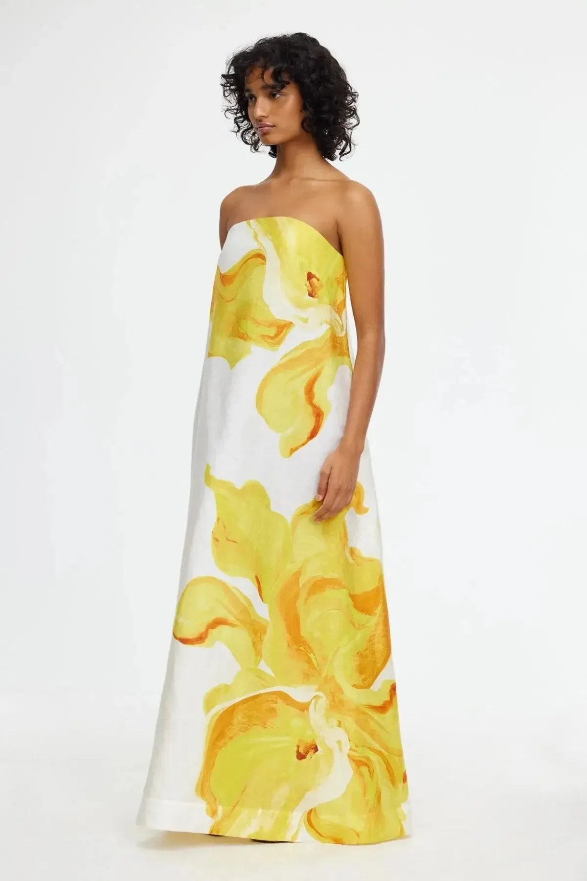 Hopton Elegant Midi Dress in Spring Floral Print